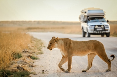 Informazioni sulla climatizzazione Sudafrica